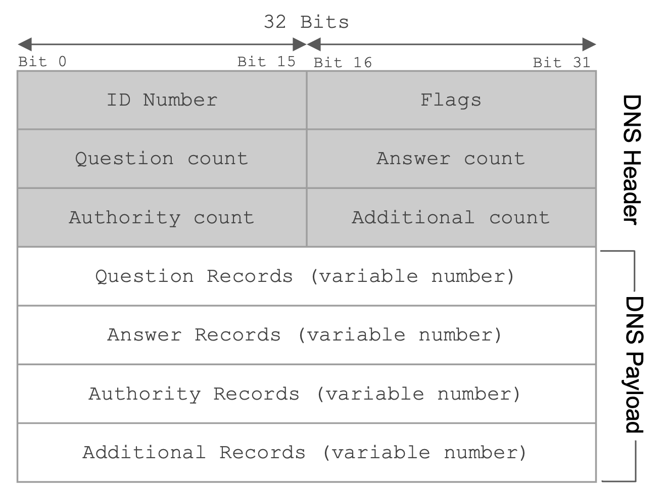 DNS packet